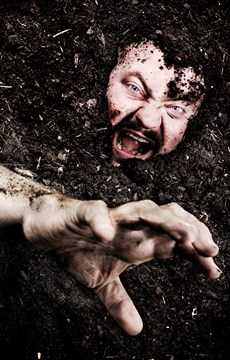 Buried Alive Facts
