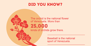 Venezuelan Infographic