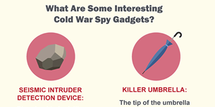 Cold War Infographic