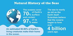 Ocean Infographic Thumbnail