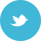 “Twitter”